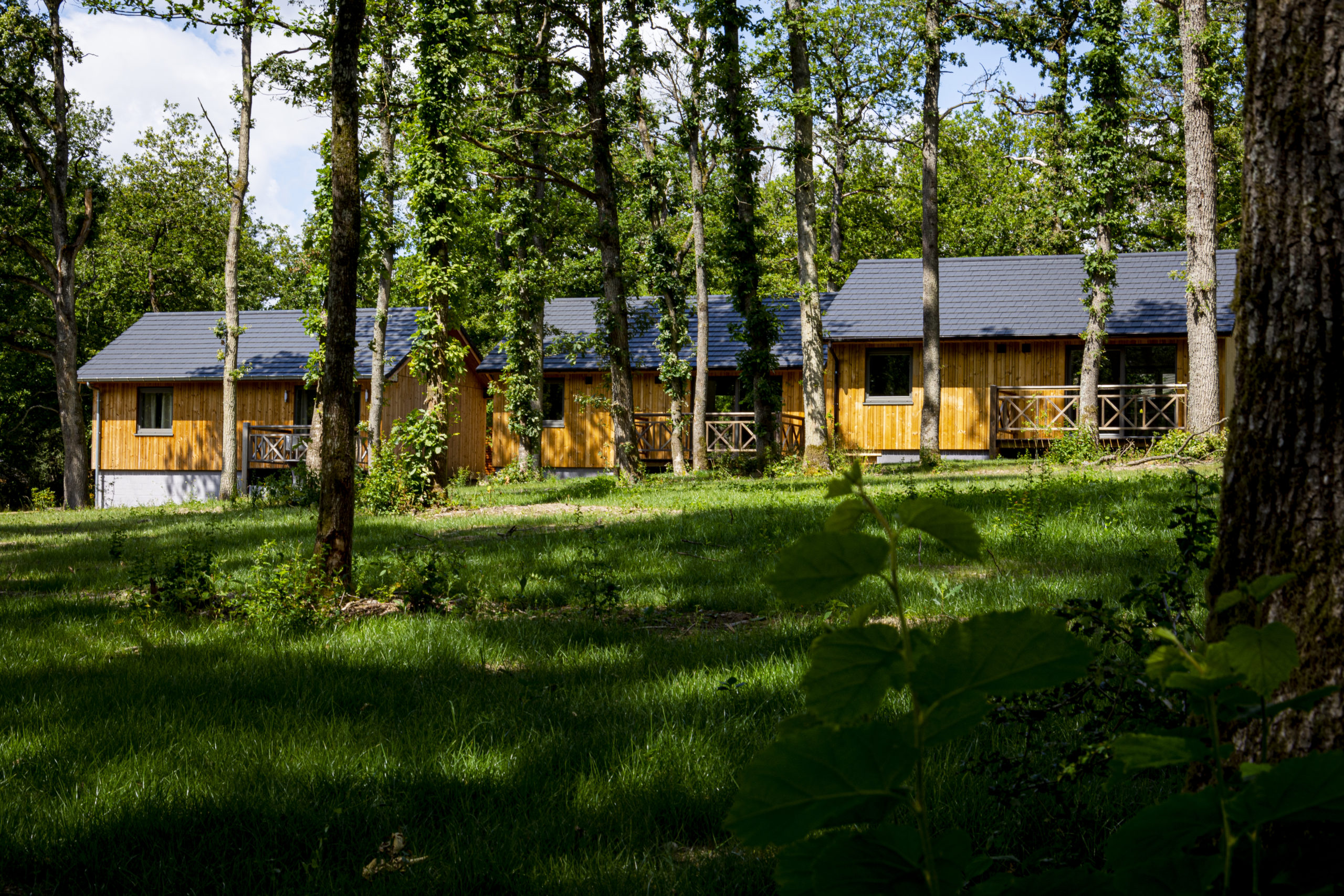 Chalets-village-les-bois-dourthe